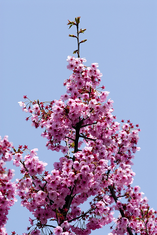 image0116