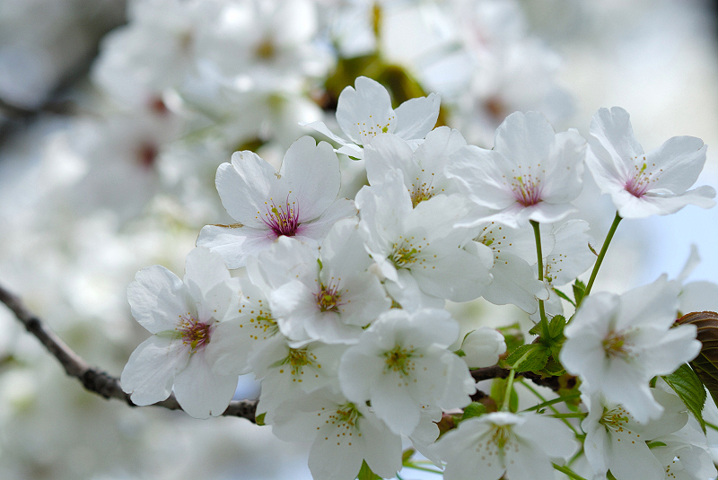 image0120