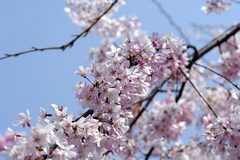 image0122