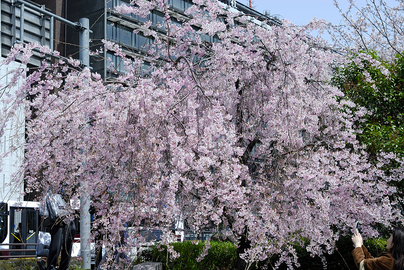 image0129