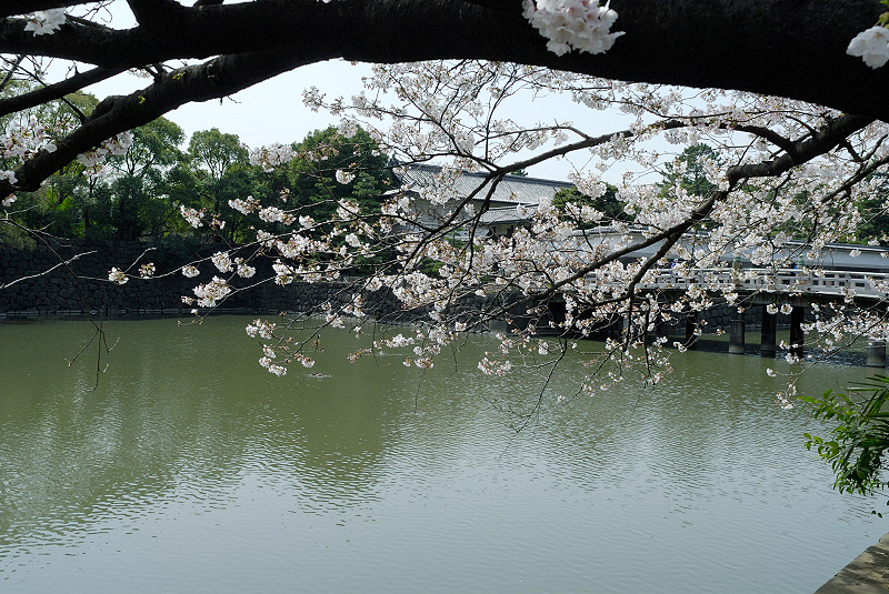 image0132