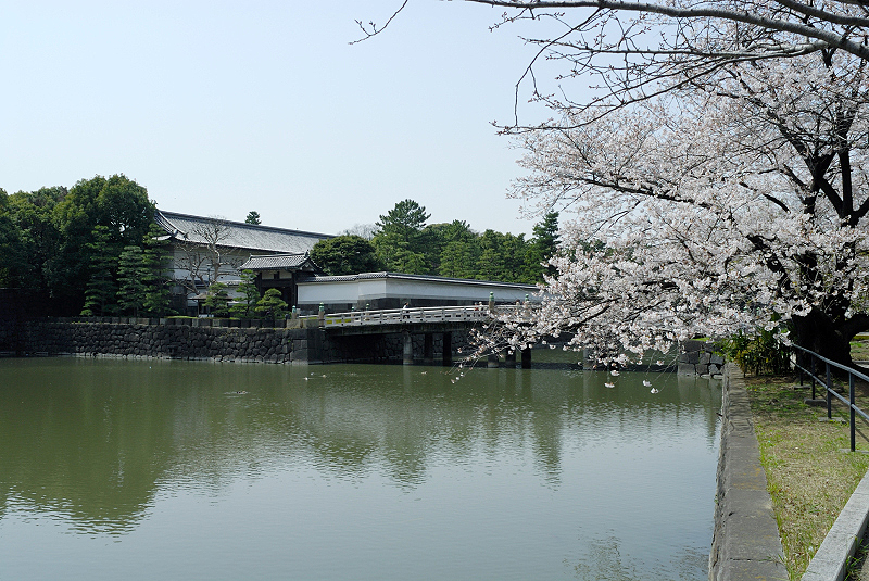image0133