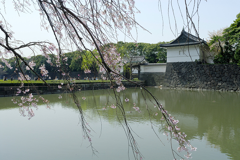 image0134