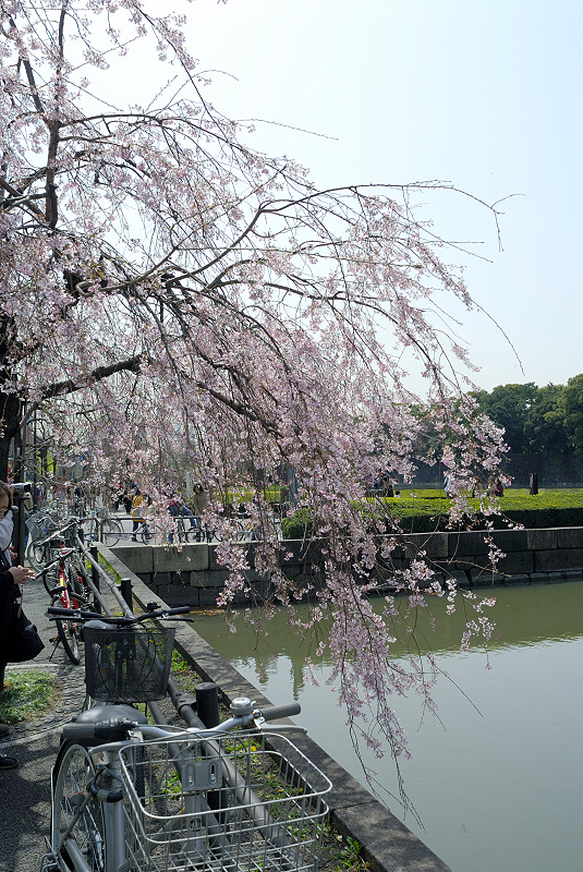 image0136