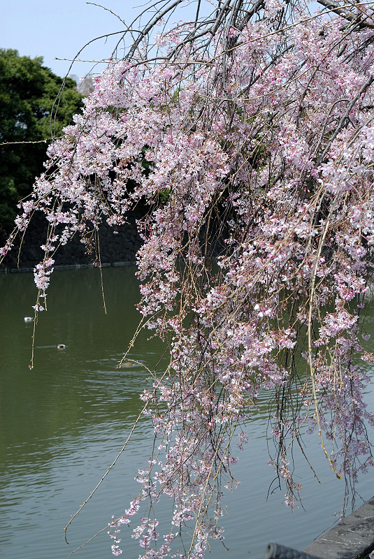 image0137