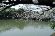 image0132