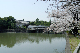 image0133