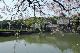 image0135