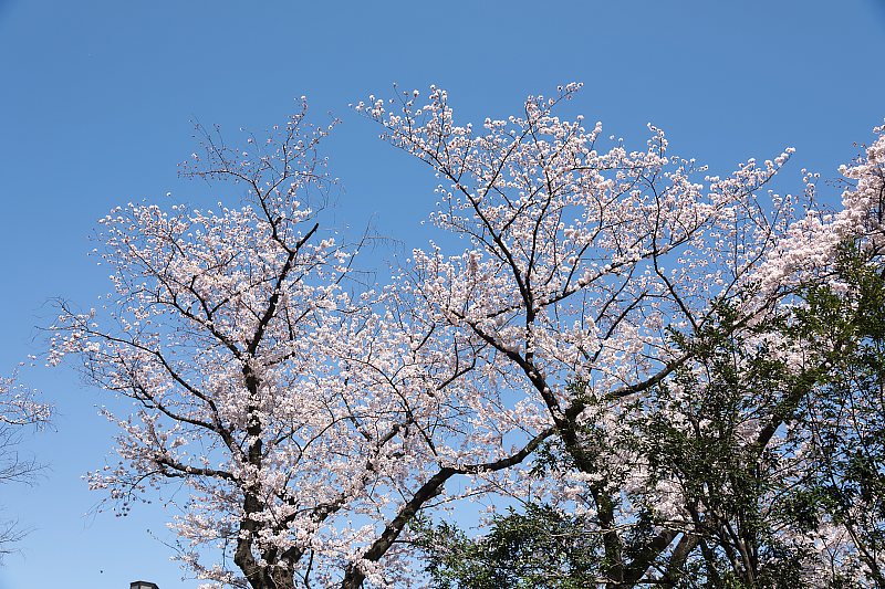 image0594