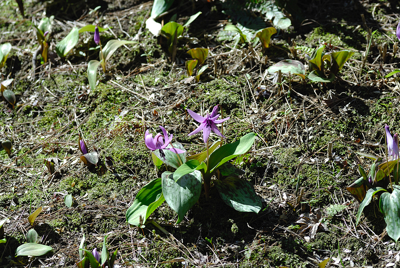 image0099