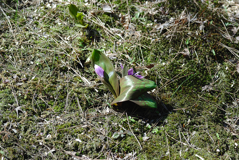 image0100