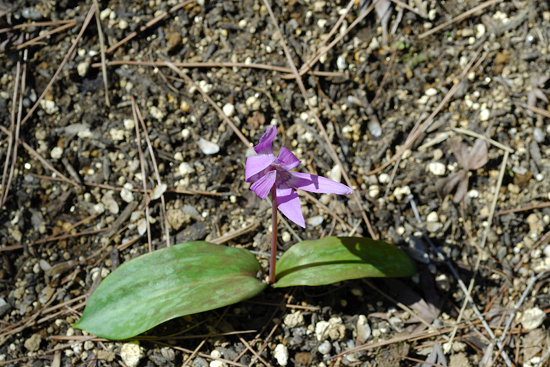 image0101