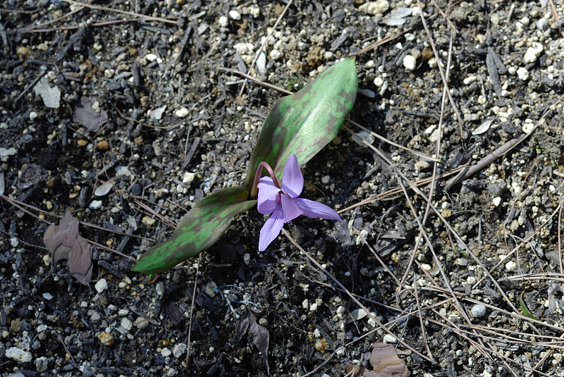 image0102