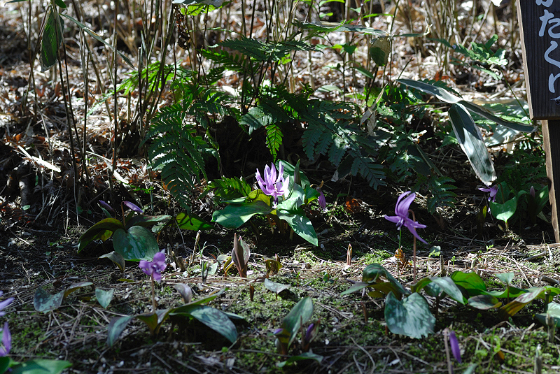 image0103