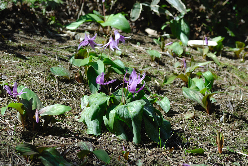 image0104