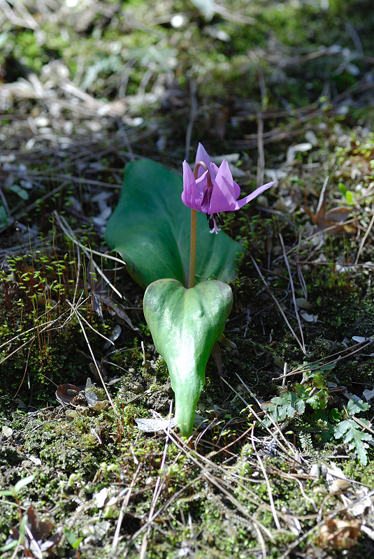 image0108