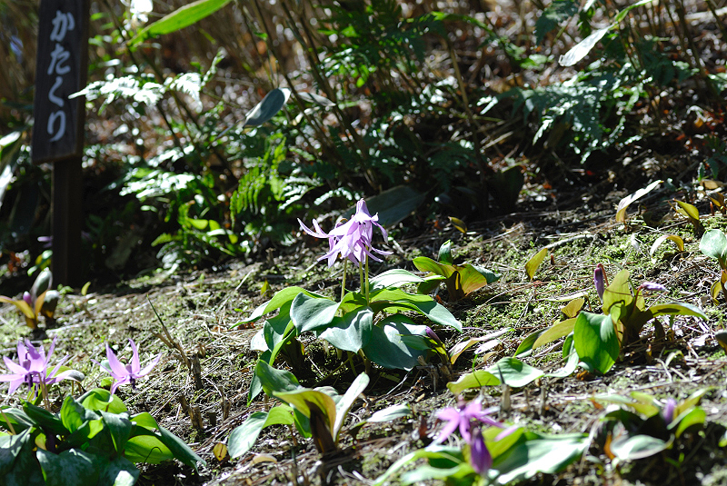 image0110