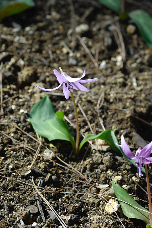 image0113