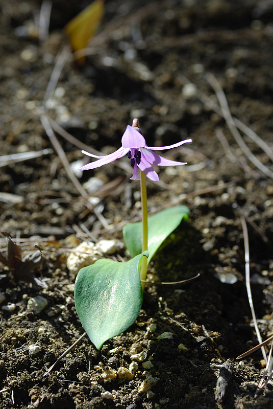 image0114