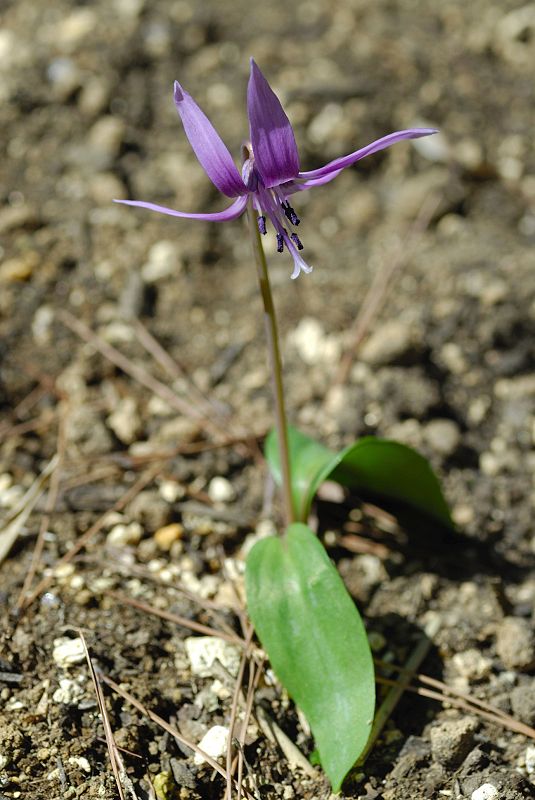 image0115