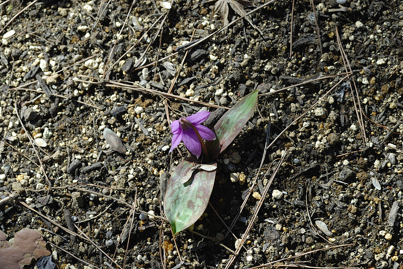 image0116