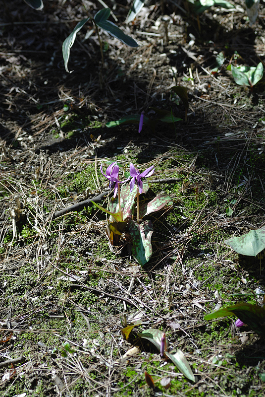 image0117