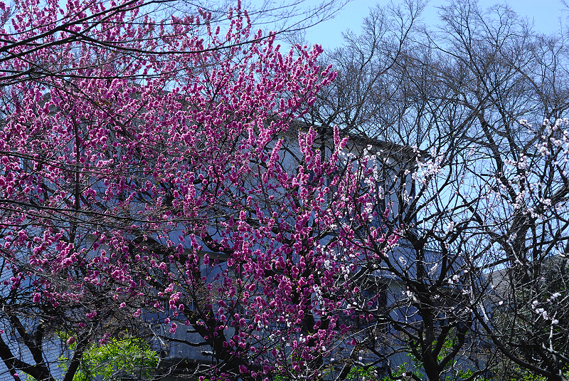image0118