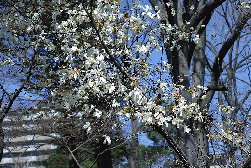 image0119