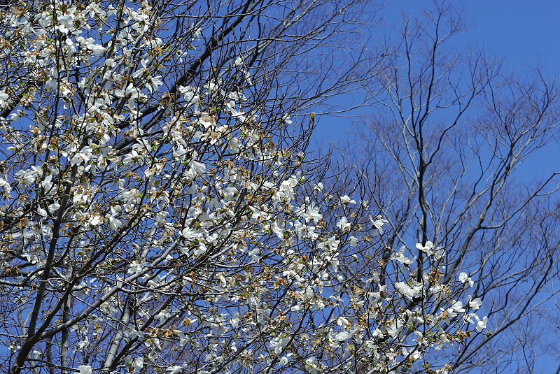 image0120