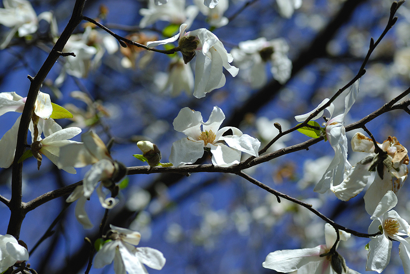 image0122