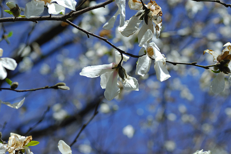 image0123