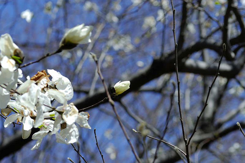 image0124