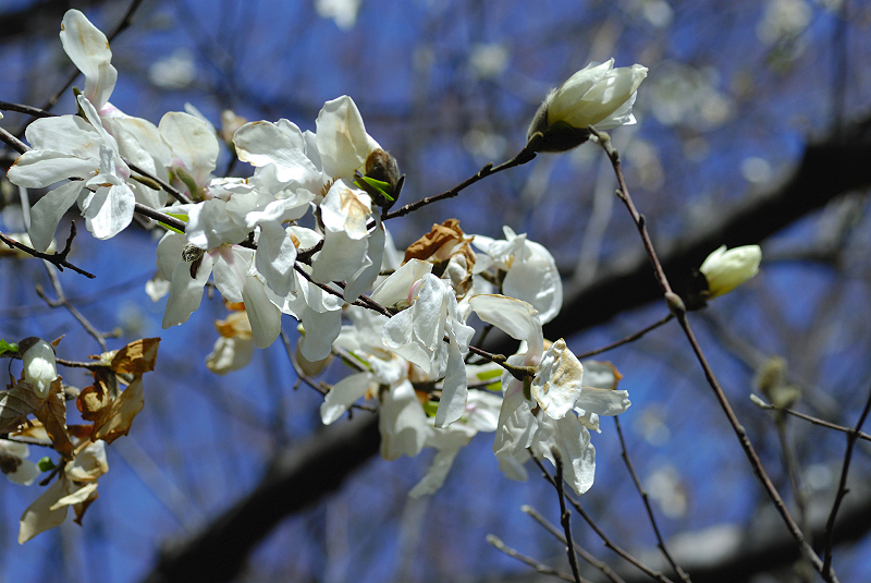 image0125