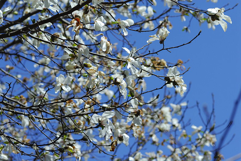 image0126