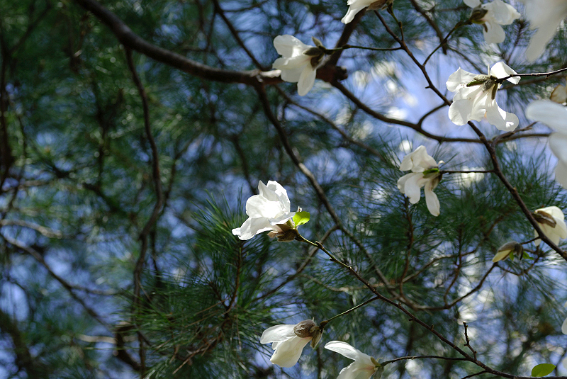 image0128