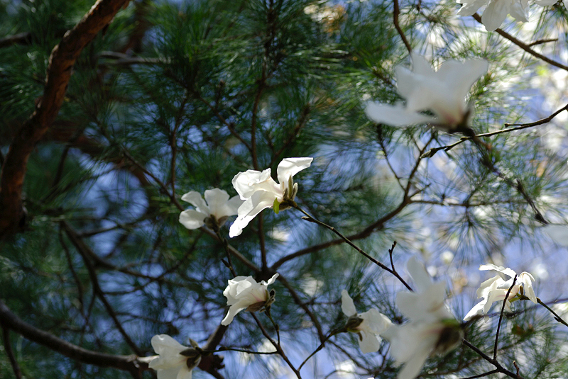 image0129
