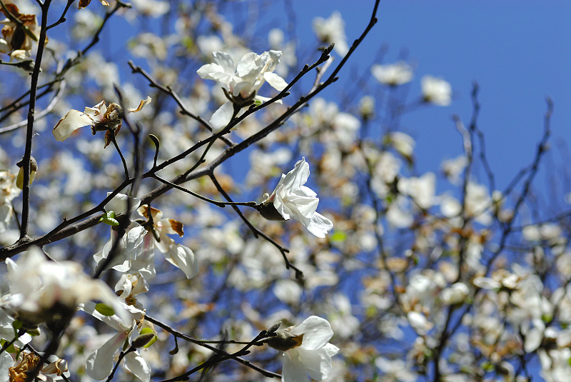 image0131