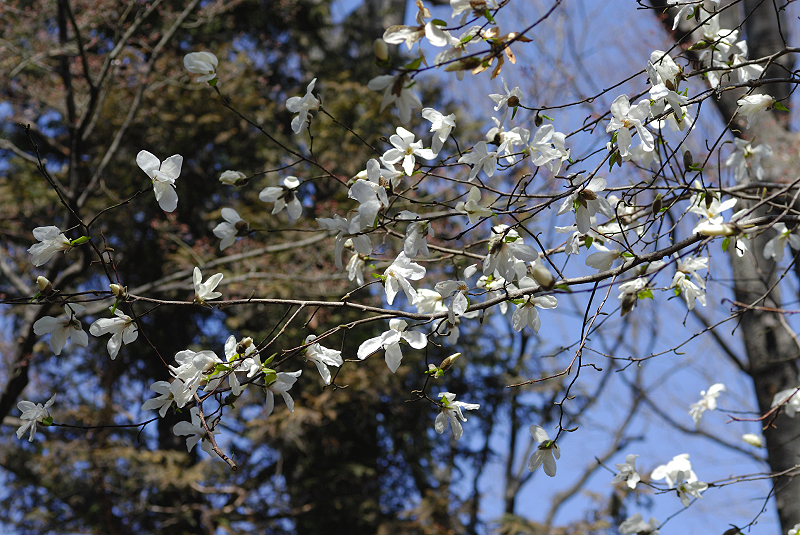 image0133