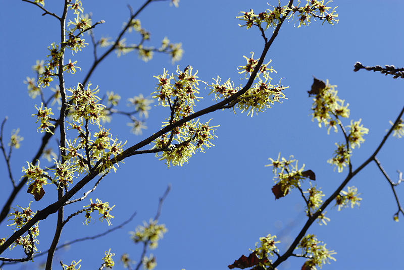 image0135