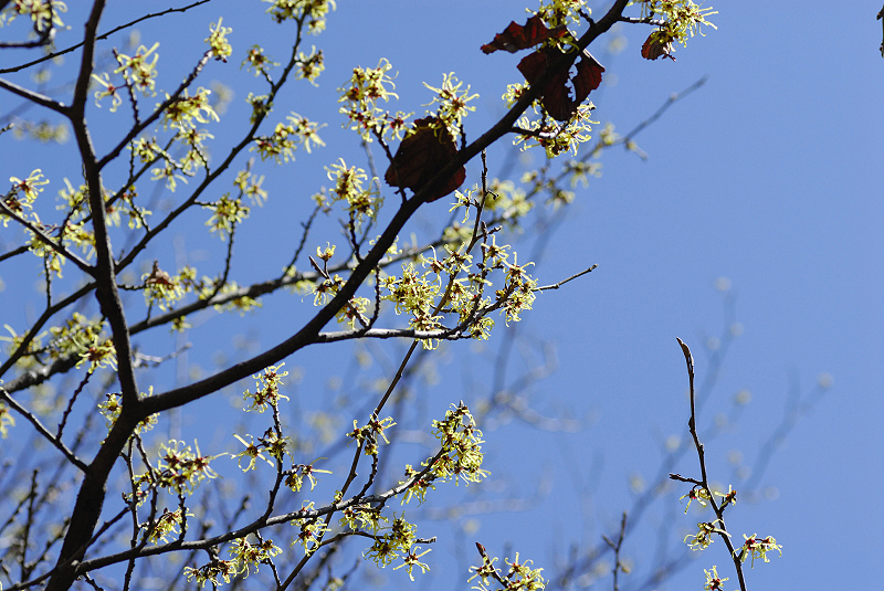 image0136