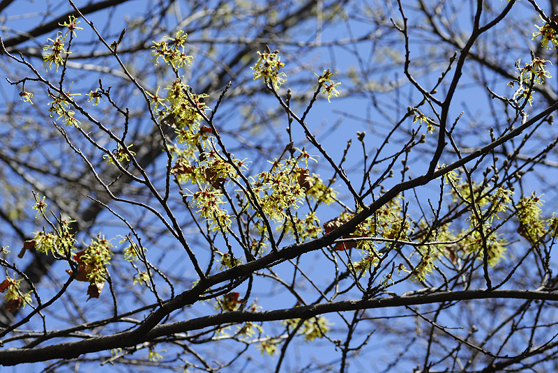 image0137