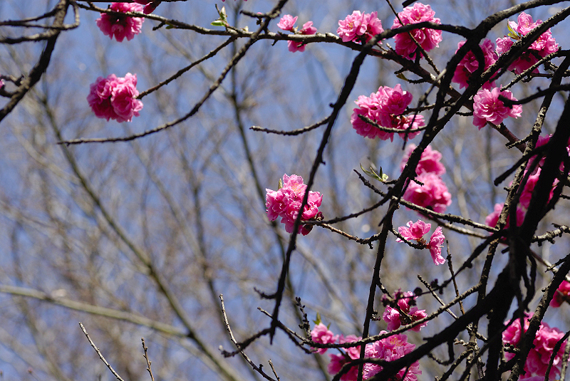 image0141