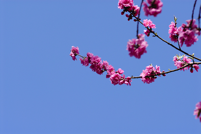 image0145