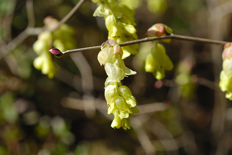 image0152