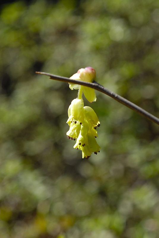 image0155