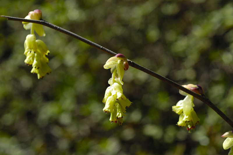 image0156