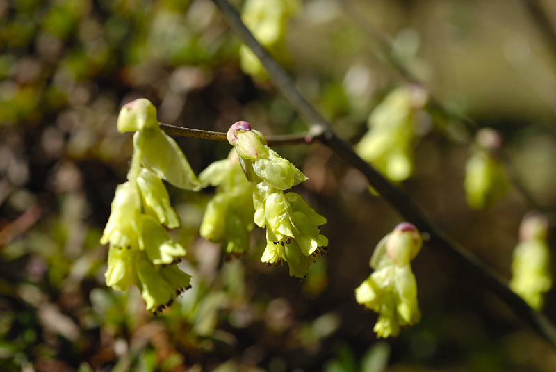 image0157