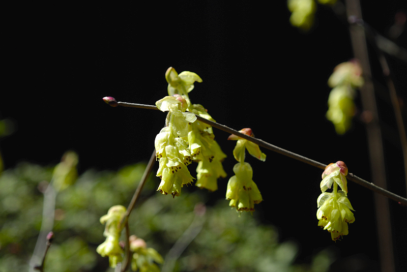 image0159
