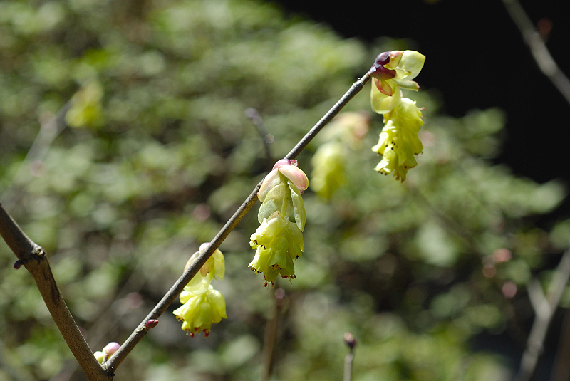 image0160