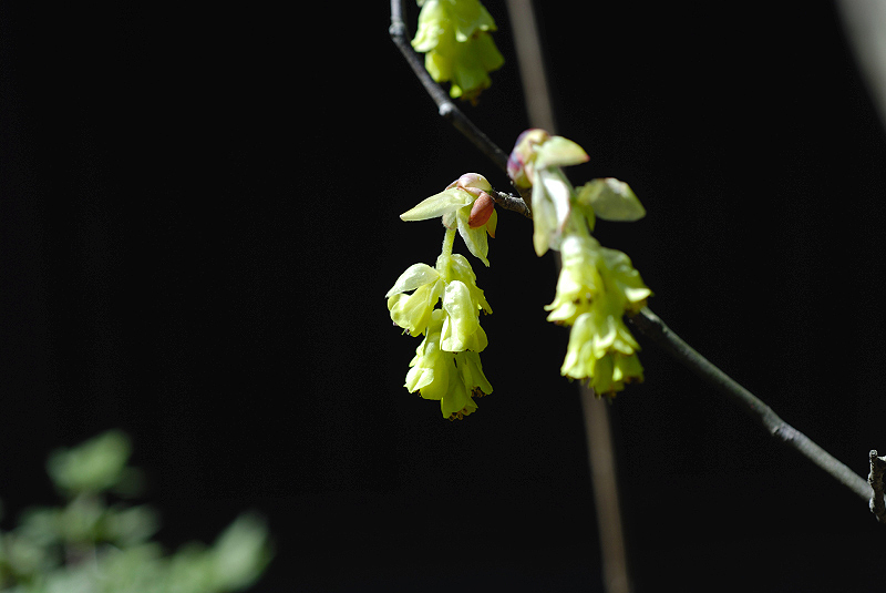 image0161